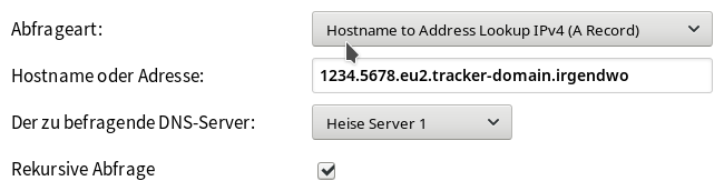 IP-Adresse des Tracking-Servers im DNS abfragen